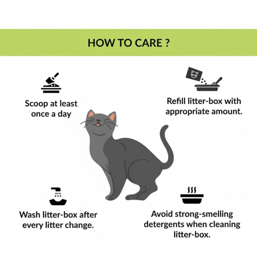 M-Pets Mansura Litter Tray with Rim for Cats