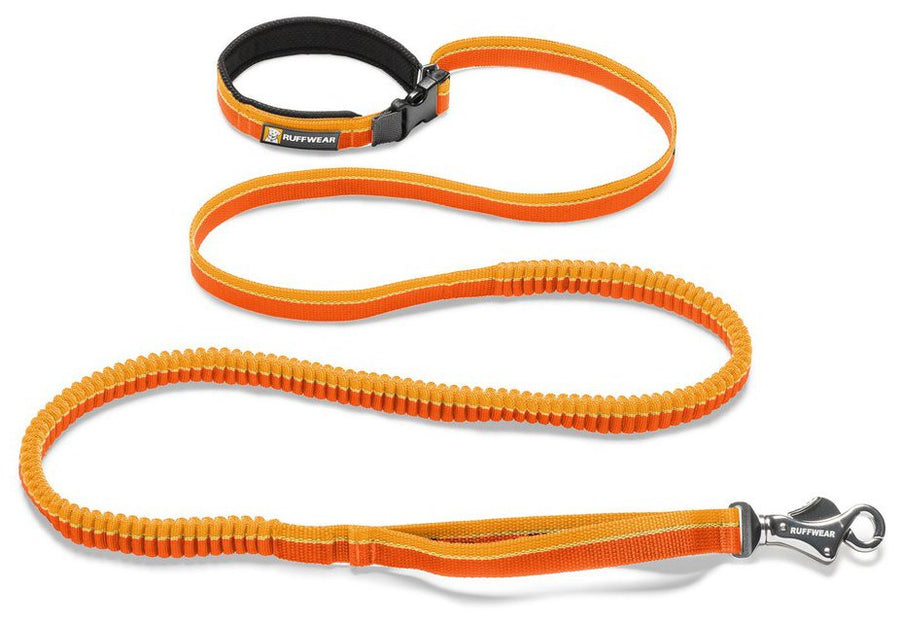 Ruffwear Roamer Leash for Pets Purple Dusk
