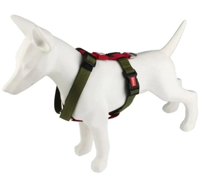 GiGwi Premium Line Harness - Green - Medium