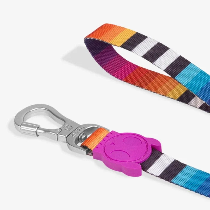 Zee Dog Regular Leash for Dogs