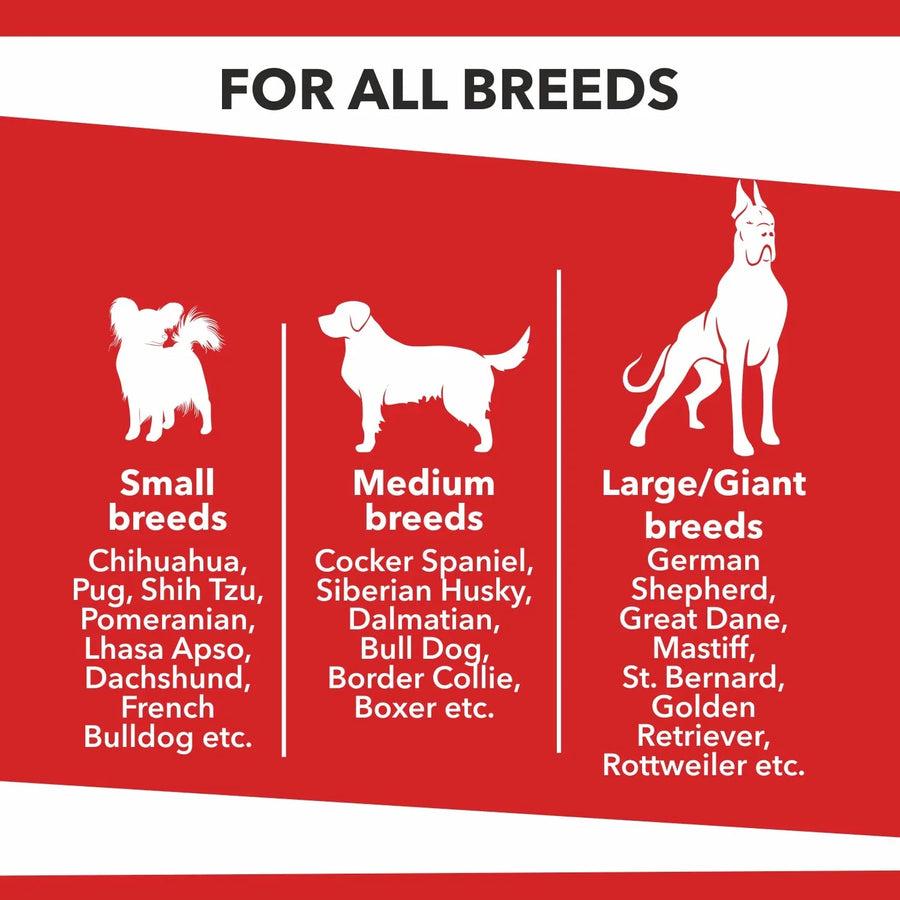 Drools Baked Delights Biscuit 1 Red for Dogs