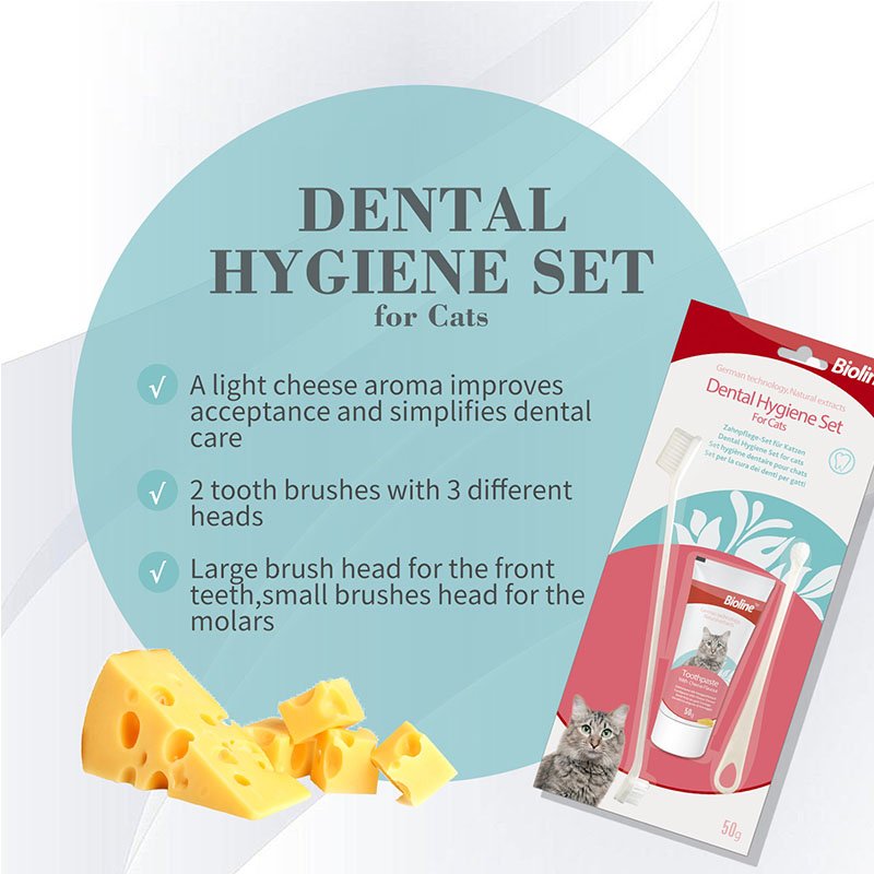 Bioline Dental Hygiene Set for Cats