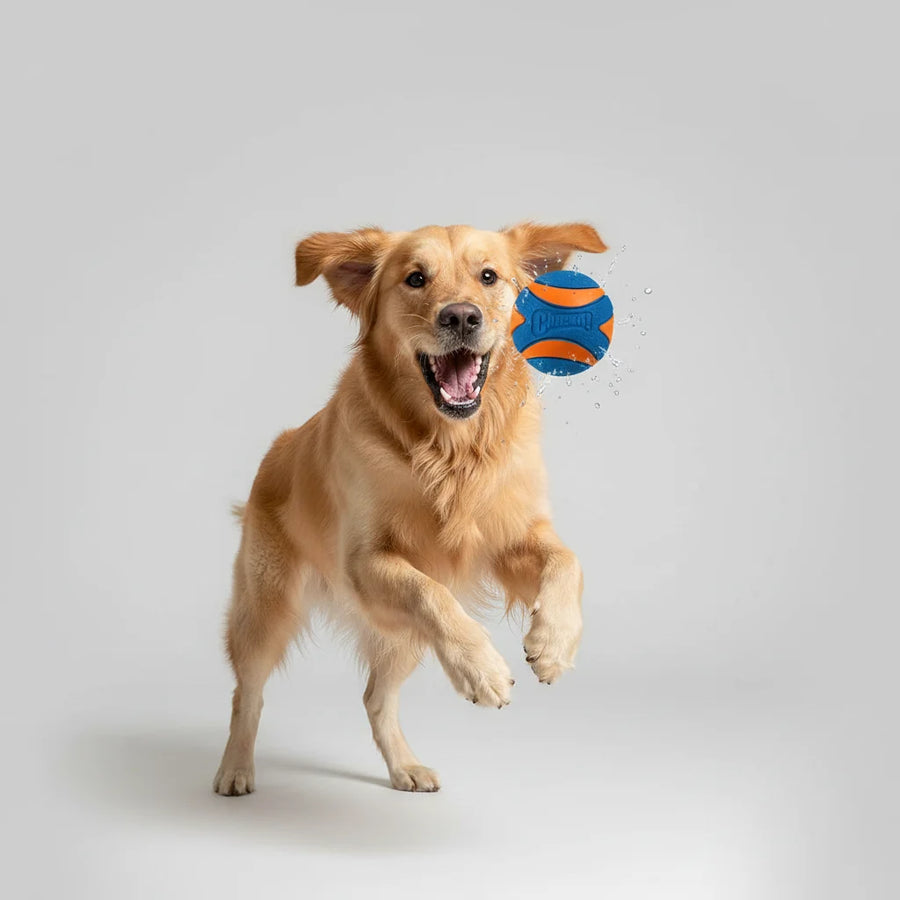 Chuckit Ultra Squeaker Ball Toy for Dogs