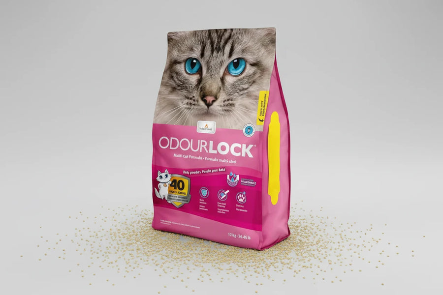 OdourLock Baby Powder for Cats