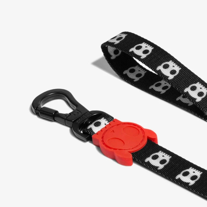 Zee Dog Regular Leash for Dogs