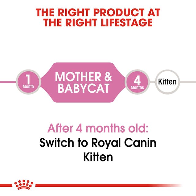 Royal Canin Mother and Baby Cat Dry Food