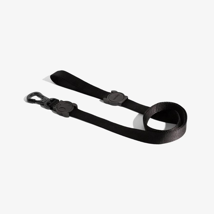 Zee Dog Leash for Dogs - Artsy