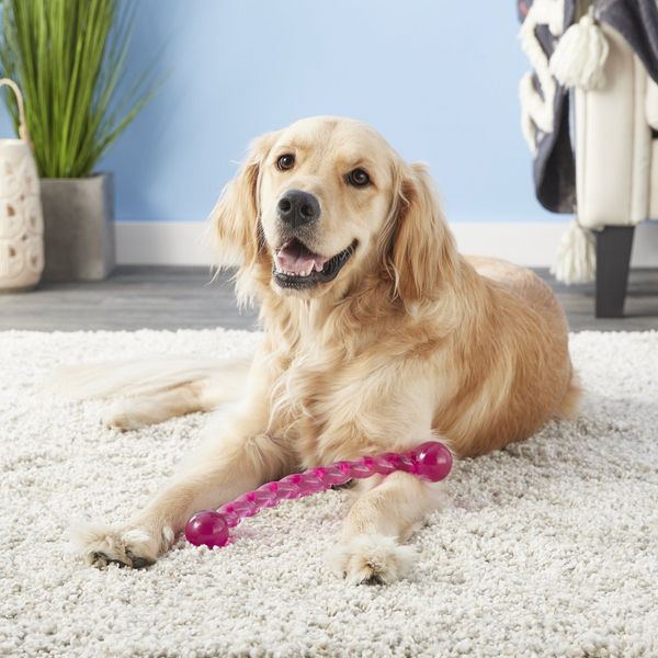 Kong Safestix Red Rope Toy for Dogs