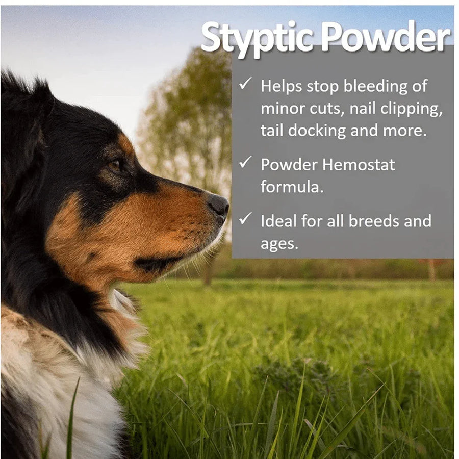 Bio Groom Sure Clot Fast Acting Styptic Powder for Dogs