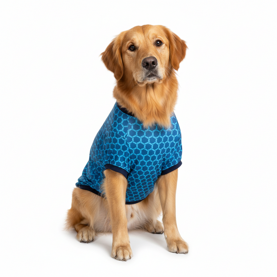 Story Tails T Shirts for Dogs