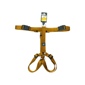 Harness