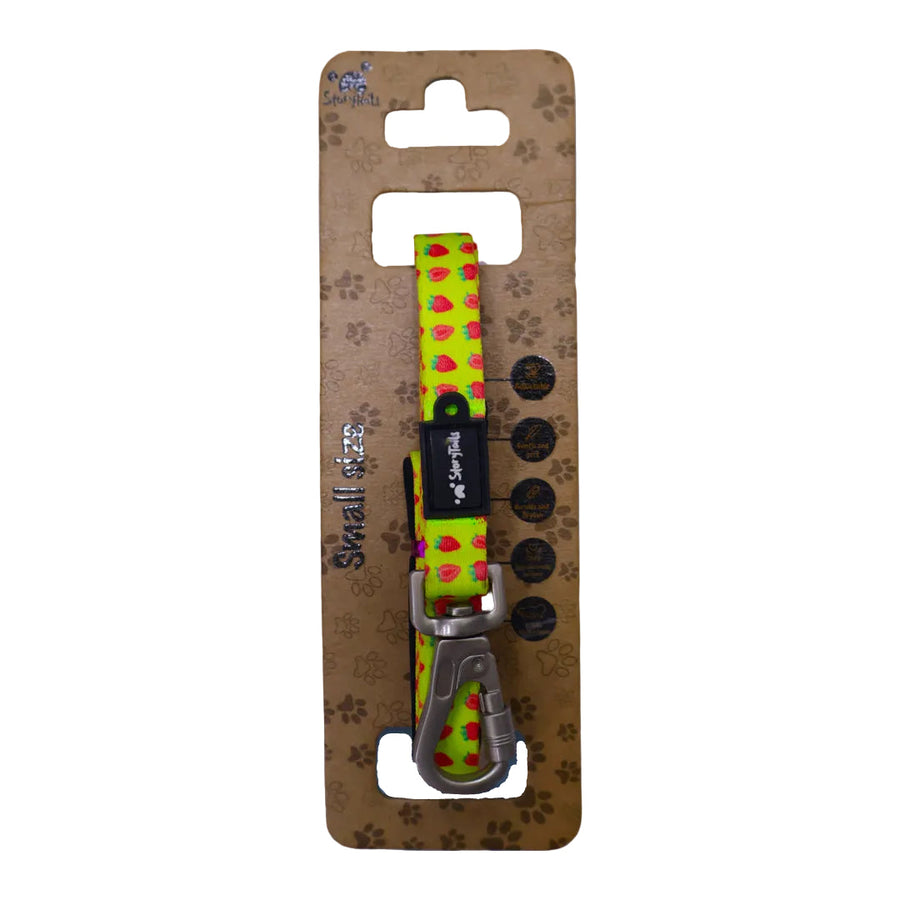 Story Tails New Digital Series Leash
