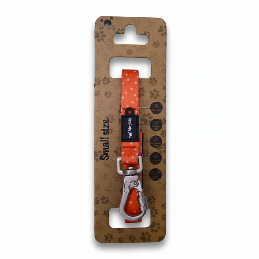 Story Tails New Digital Series Leash