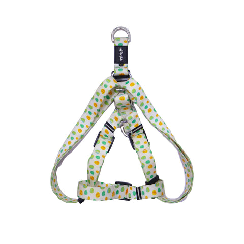 Story Tails New Digital Series Step In Harness for Dogs