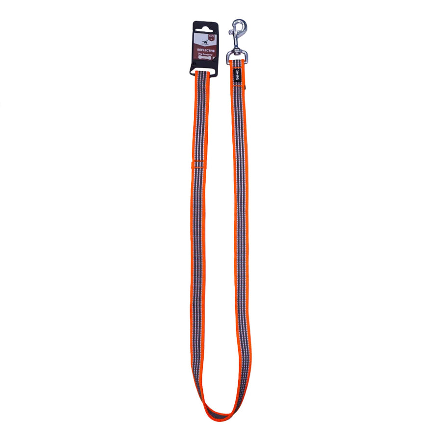 Story Tails Reflective Leash