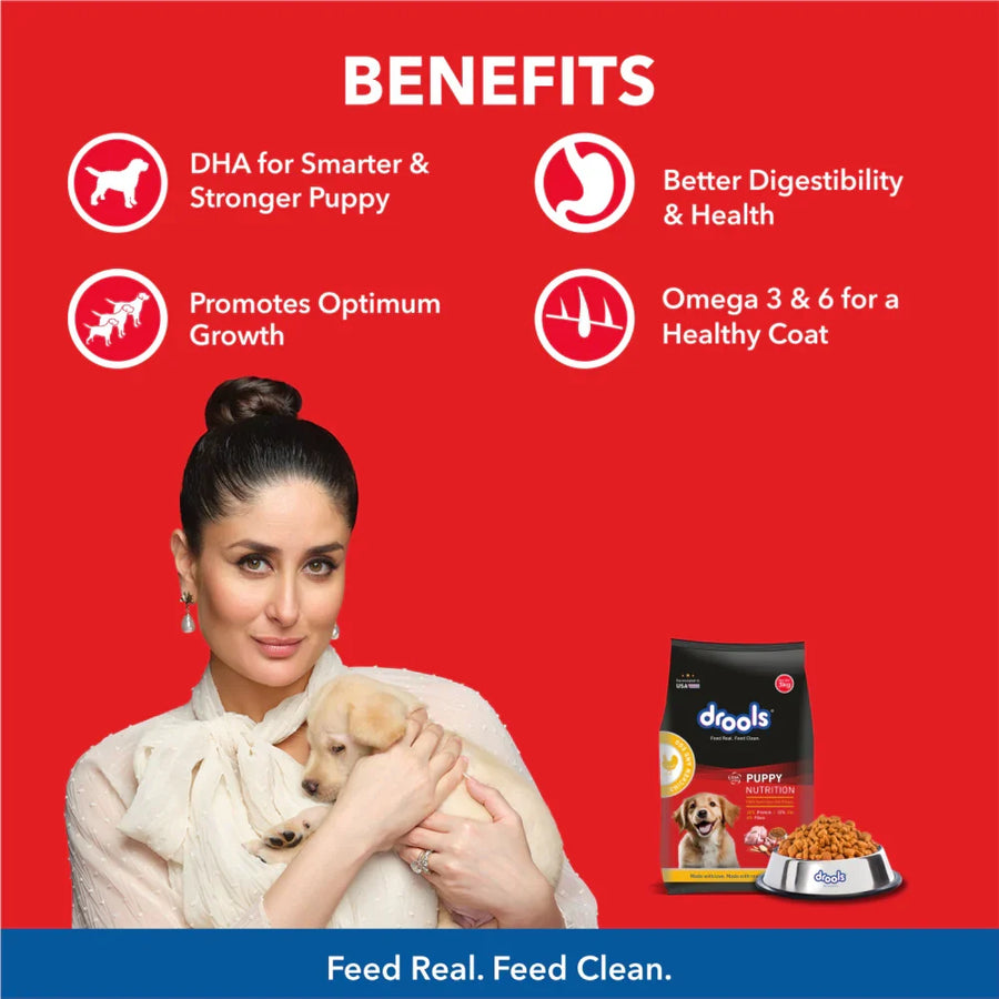 Drools Chicken and Egg Flavour Puppy Dry Food