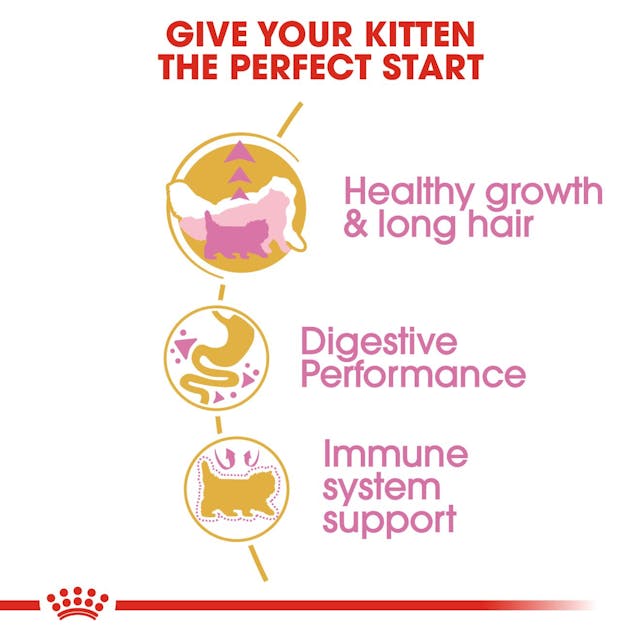Royal Canin  Persian Kitten Cat Dry Food