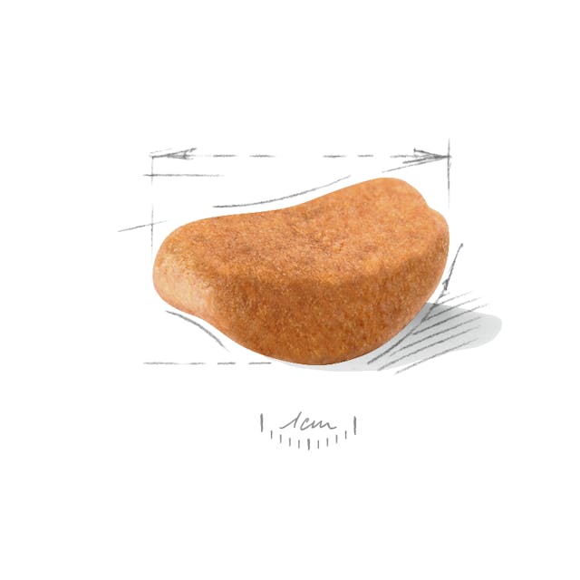 Royal Canin Rottweiler Adult Dog Dry Food