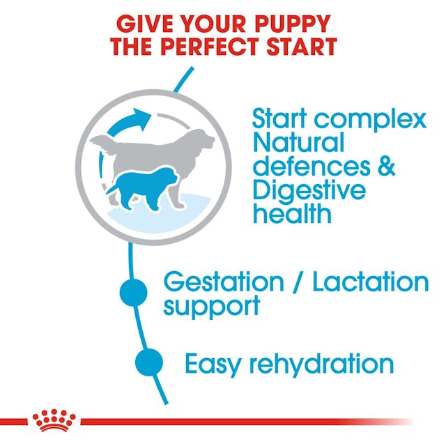 Royal Canin Giant Starter Dog Dry Food