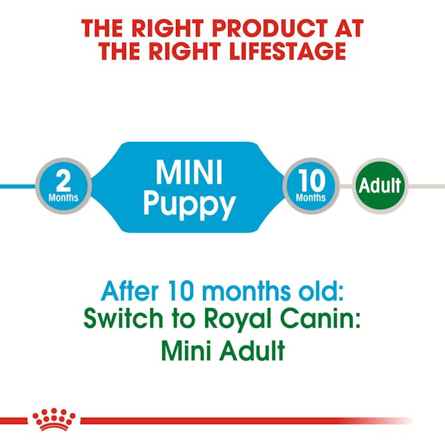 Royal Canin Mini Puppy Dog Wet Food