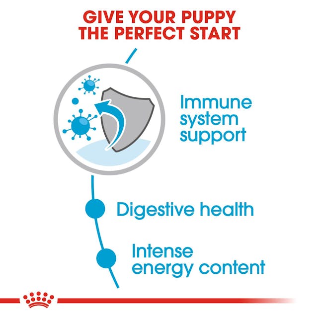 Royal Canin Mini Puppy Dog Wet Food