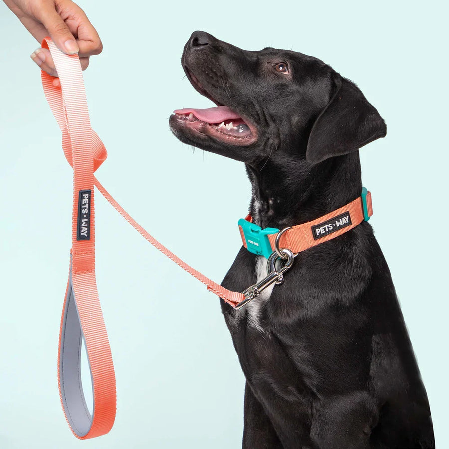 Pets Way Classic Padded Leash For Dogs