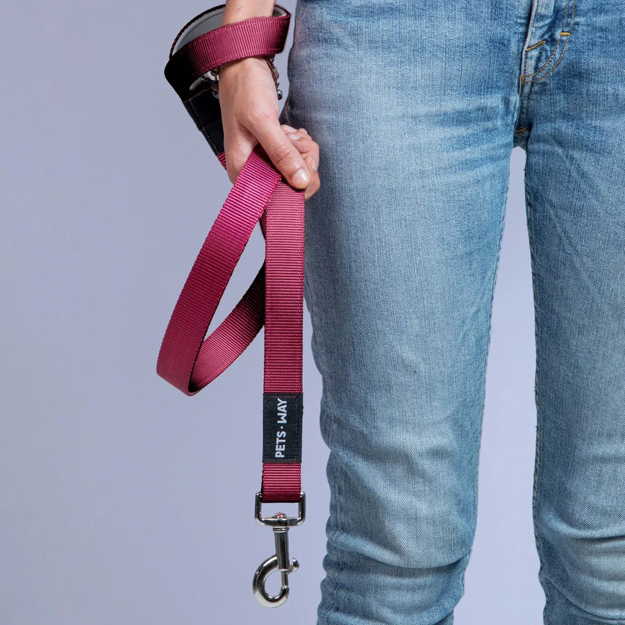 Pets Way Classic Padded Leash For Dogs