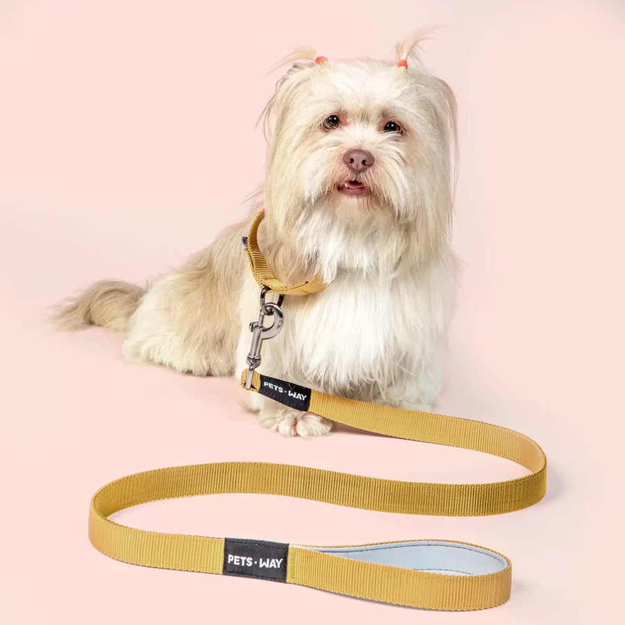 Pets Way Classic Padded Leash For Dogs