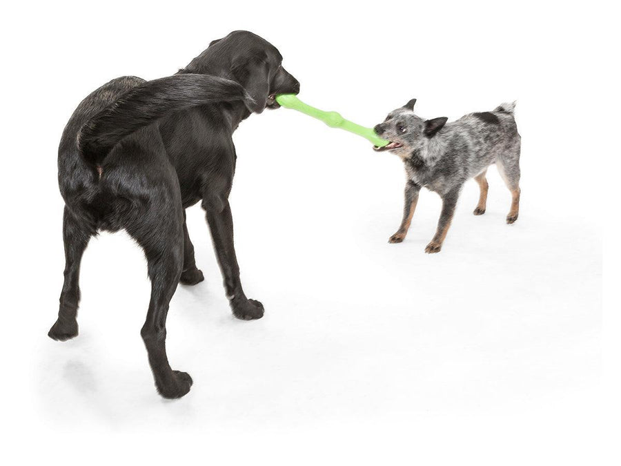 West Paw Zogoflex Echo Zwig Dog Toys