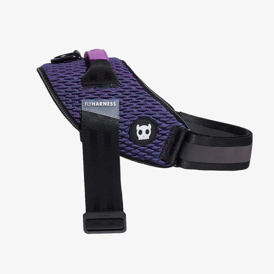 Zee Dog Flyharness Galaxy