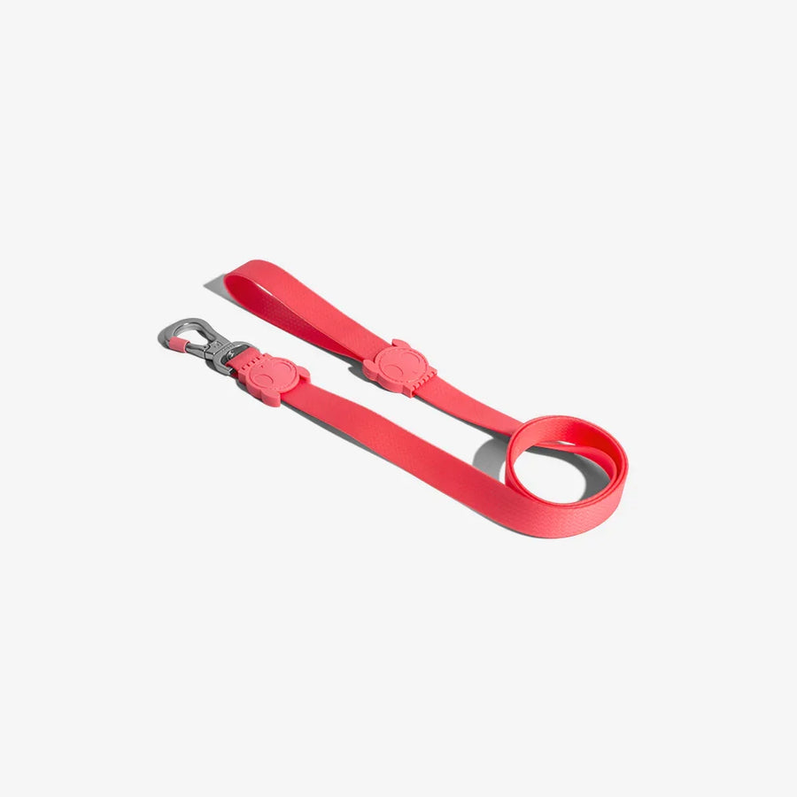 Zee Dog Leash for Dogs - Blast
