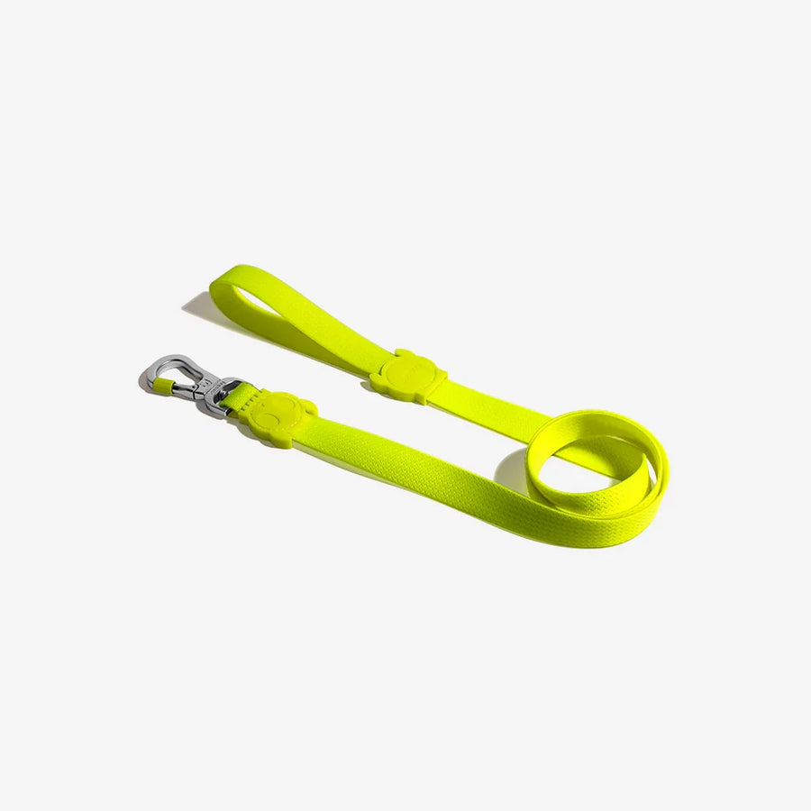 Zee Dog Leash for Dogs - Blast