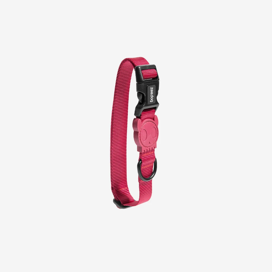 Zee Dog Collar for Dogs - Artsy