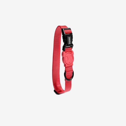 Zee Dog Collar for Dogs - Neon Coral