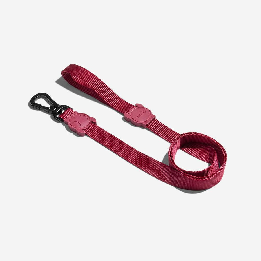 Zee Dog Leash for Dogs - Artsy
