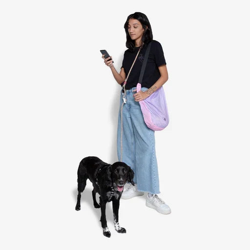 Zee Dog Handsfree Leash for Dogs
