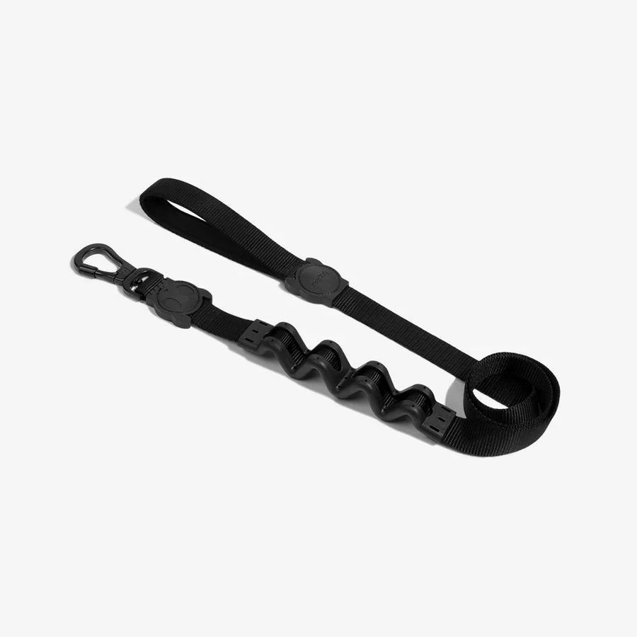 Zee Dog Leash for Dogs - Artsy