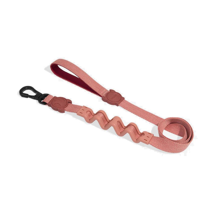 Zee Dog Leash for Dogs - Artsy